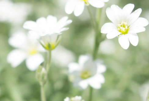 1712919194412244.png image.png