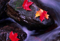 ​带凌字的霸气男孩网名