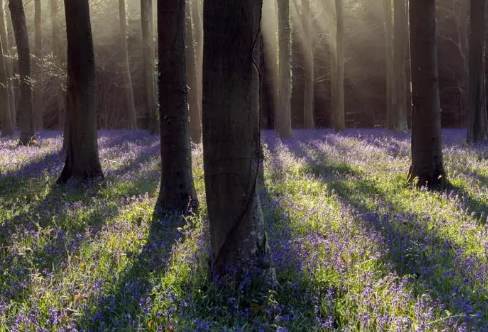 1712919695900612.png image.png