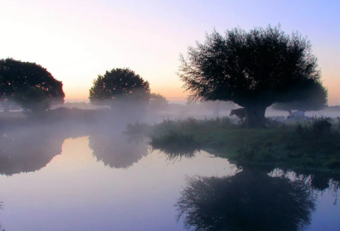 1712919862127326.png image.png