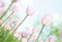 ​带倩文的网名男生霸气