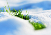 ​女生网名带林霸气的名字