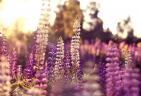 ​名字带君的霸气网名