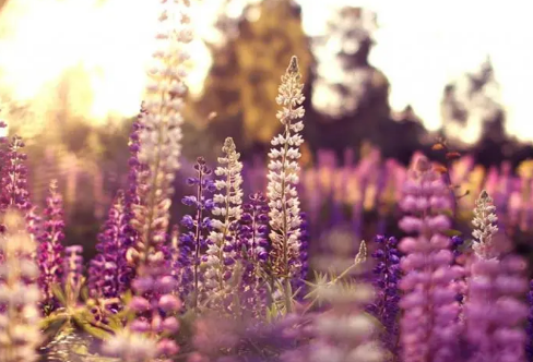 1712921197108276.png image.png