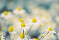 ​带余的名字网名女生霸气