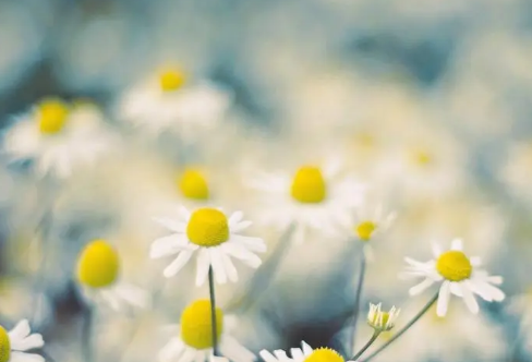 1712921364127950.png image.png