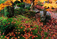 ​带仔字的网名霸气