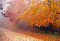 ​带佳字的两字网名霸气网名