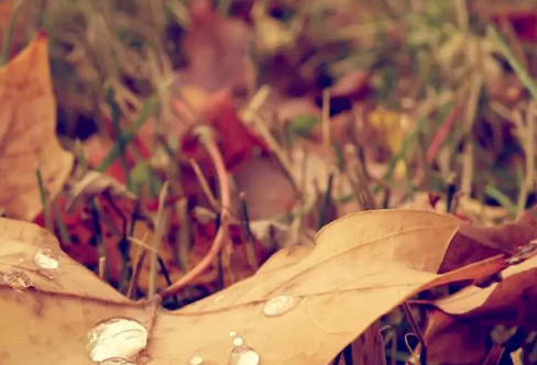 1712923033803188.png image.png