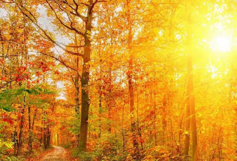 1712923200255823.png image.png