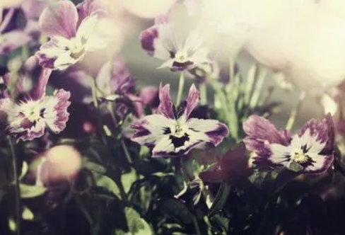 1712923534252338.png image.png