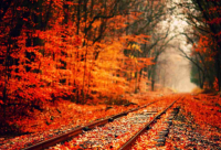 ​带凝字的网名霸气男生