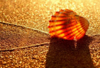 ​姓氏带张的网名女孩霸气