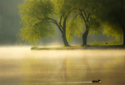 1712924535378077.png image.png