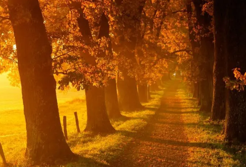 1712925036286978.png image.png