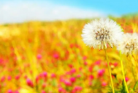 ​带佳的网名霸气男