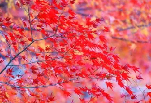 1712925704595688.png image.png