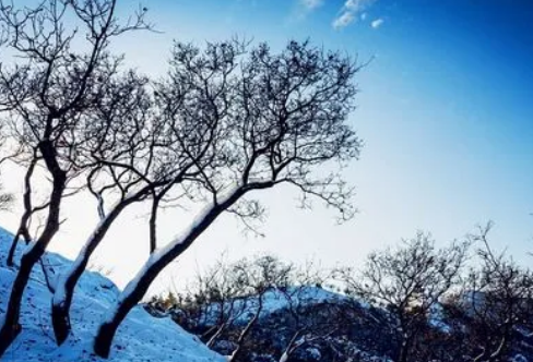 1712926037263569.png image.png