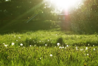 ​对象带李字的网名大全霸气