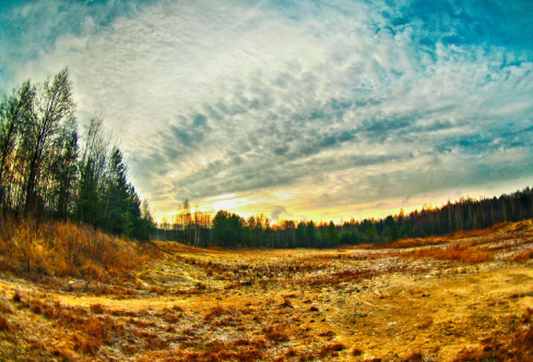 1712926872919632.png image.png