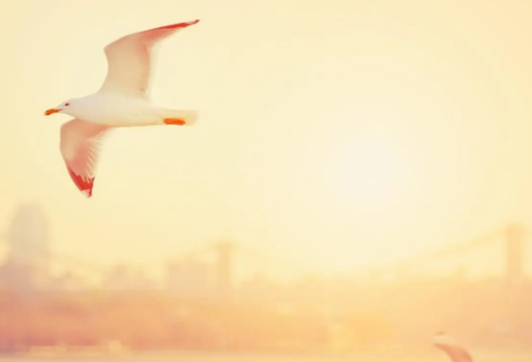 1712927038951604.png image.png