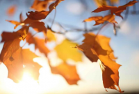 ​带凝的网名昵称男生霸气