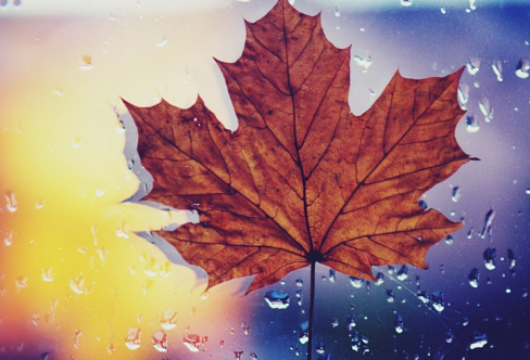 1712928207539618.png image.png