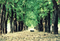 ​带伊婷的霸气网名