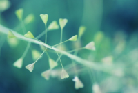 ​带伊字的霸气网名