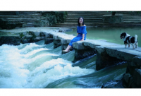 ​动物成语带名字霸气的网名昵称