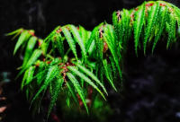 ​带冲字的网名霸气女生