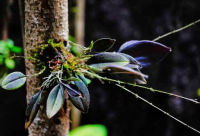 ​带刘的有趣网名女生霸气