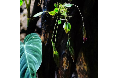 1712933379264172.png image.png