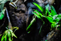 ​带冲霸气的网名