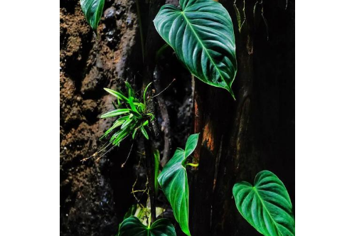 1712933880131328.png image.png