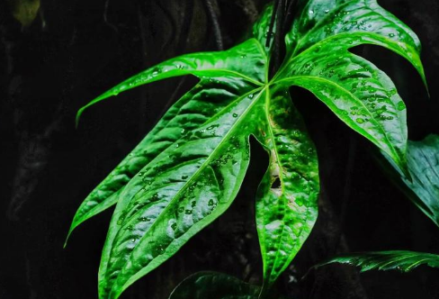 1712934214271659.png image.png