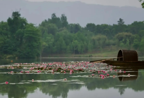 1712935716139590.png image.png