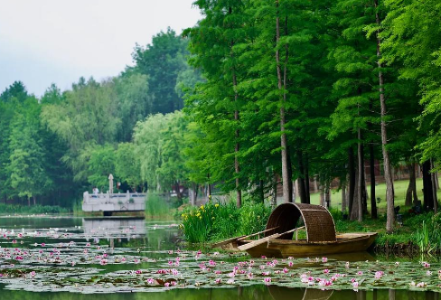 1712935883612170.png image.png