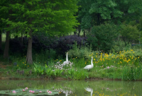 ​带一数字的网名霸气