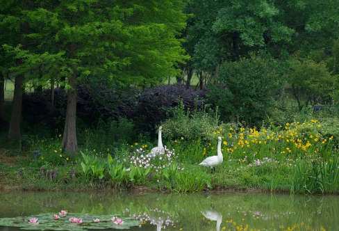 1712936050713983.png image.png