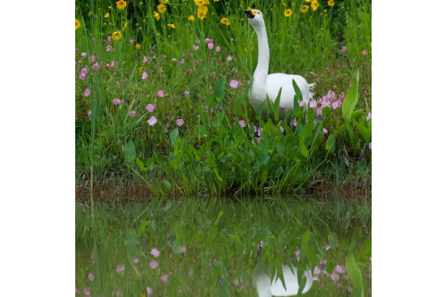 1712936217641044.png image.png