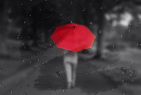 ​2024最霸气带猫的网名昵称