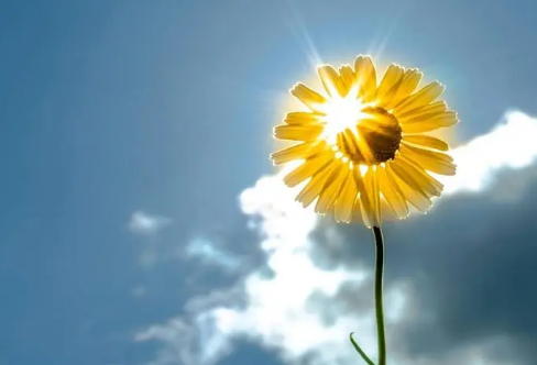 1712944634923548.png image.png