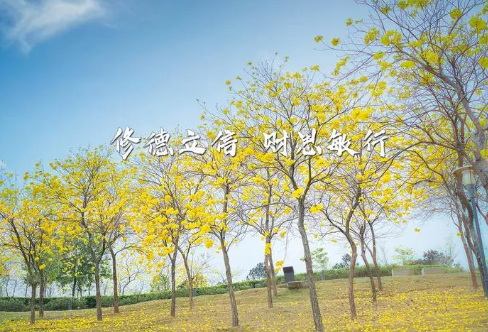 1712947472110032.png image.png