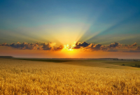 ​带乔字的网名霸气