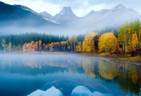 ​带二皇的网名霸气