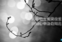 ​带企鹅名字的网名男霸气