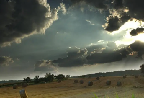 1712948307115454.png image.png