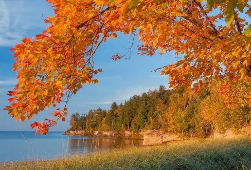 1712948474118251.png image.png