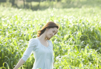 ​描写油菜花唯美的句子 关于油菜花的唯美句子